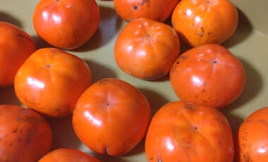 たびたび花院は、かにだけじゃありません！