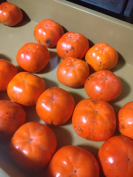 たびたび花院は、かにだけじゃありません！