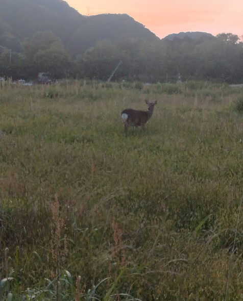 たびたび花院は、大自然の中にあります(*^。^*)
